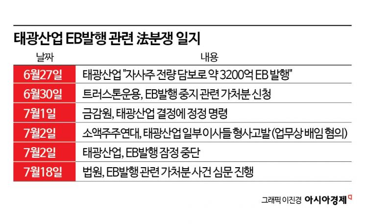 태광그룹 EB논란, 18일 法심문 시작…신사업 진출 향방 '촉각'[Invest&Law]