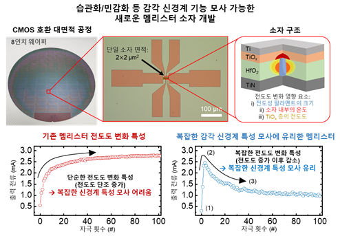 감각 신경계의 습관화 및 민감화 기능 모사가 가능한 새로운 멤리스터 소자의 실물 모습과 설명도. KAIST 제공