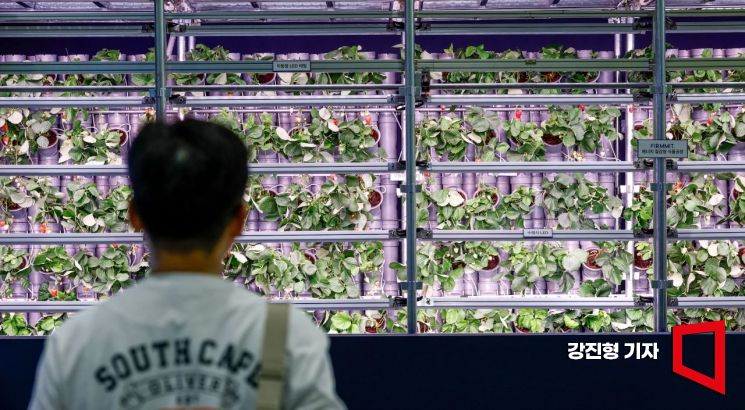 [Photo] "Energy-Saving Plant Factory"