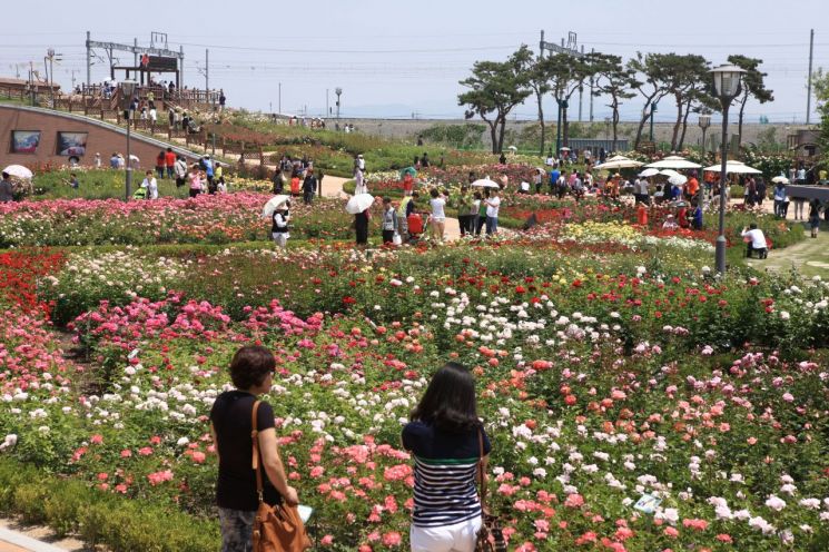 '반의반 값'으로 알뜰하게 전남서 여름 휴가 보내세요