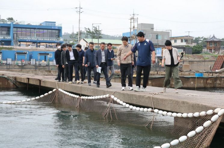 이강덕 포항시장이 16일 구룡포와 장기 지역의 수산 분야 주요 현안 사업 현장을 둘러보고 있다. 포항시 제공