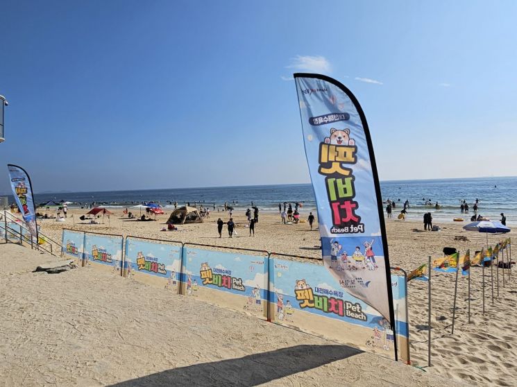 보령시, 머드축제에서 반려견과 해변 즐긴다