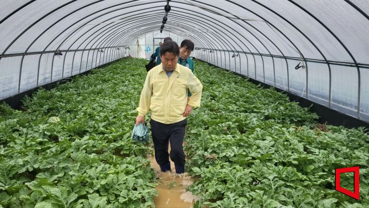 부여군, 이틀간 최대 380mm '물폭탄'…농작물·도로·문화유산 등 피해 속출