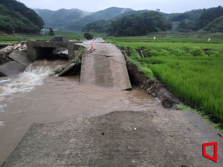 부여군, 이틀간 최대 380mm '물폭탄'…농작물·도로·문화유산 등 피해 속출