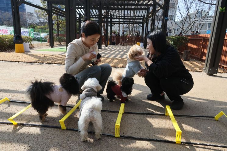 "대학 혁신, 지역 살리고 세계 기여"… 동명대, 도전·창의·봉사 글로벌 실천