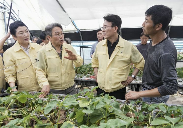 강기정 광주시장이 20일 오전 김민석 국무총리와 폭우 침수 피해 지역인 북구 용강동 하신마을 딸기재배 시설하우스를 살펴보고 있다. 광주시 제공