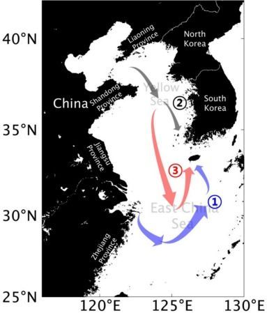 KIOST 연구팀이 규명한 괭생이모자반의 주요 이동 경로.