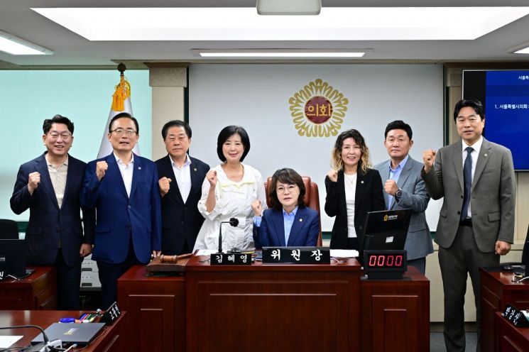 서울시의회, 김혜영 의원 의료관광특위 위원장 선임