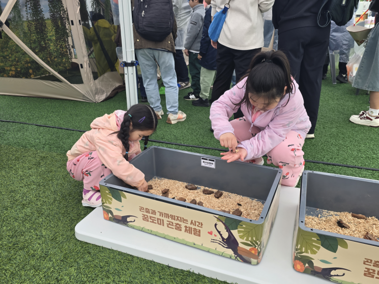 지난 5월 ‘동작 어린이 대축제’에 마련된 곤충체험존 모습. 동작구 제공.