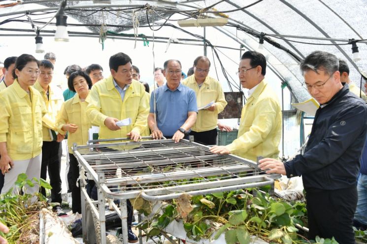 Damyang County Records Zero Casualties Amid 600mm Downpour Thanks to Proactive Response