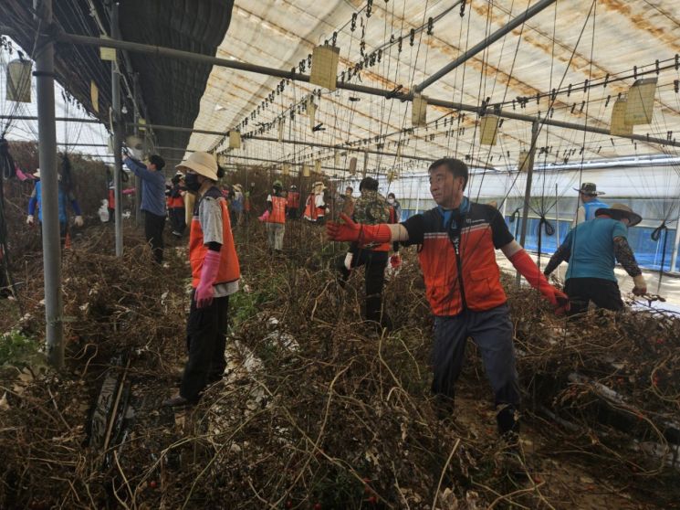 '달빛동맹'을 맺은 대구시 공무원과 자원봉사자 90여명이 23일 집중호우로 피해를 입은 광주 수해복구 현장에서 지원 활동을 펼치고 있다. 광주시 제공