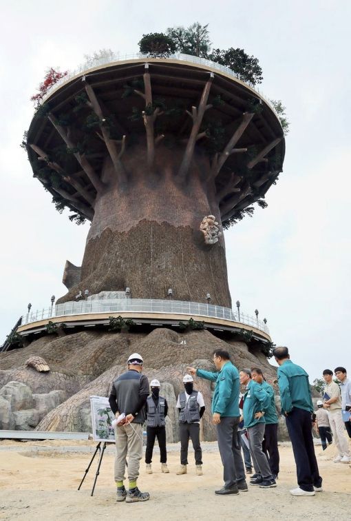 창원특례시, 대상공원 '빅트리' 임시개방 통해 개선계획 마련