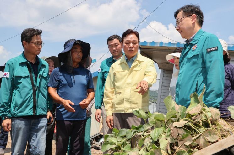 박완수 경남도지사(가운데)가 집중호우 피해가 난 하동군의 한 딸기 육묘 시설하우스를 흙탕물에 젖은 딸기 모종을 살펴보고 있다. 경남도 제공