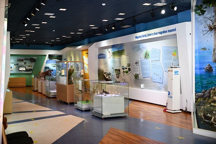 국내 유일의 흰배줄무늬수리 등 800여점 조류 포본이 전시된 철새박물관. 신안군 제공