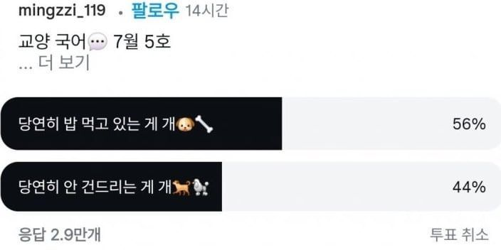 투표 결과. 밍찌 인스타그램