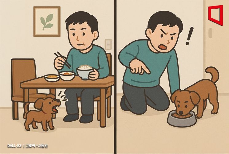 "개 밥이냐, 사람 밥이냐"…대치동 강사 해석에 '문해력 논란' 퍼지자 국어원까지 등판