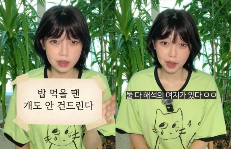 유튜버 밍찌가 "밥 먹을 때는 개도 안 건드린다"라는 속담의 해석에 대해 설명하는 모습. 밍찌 유튜브