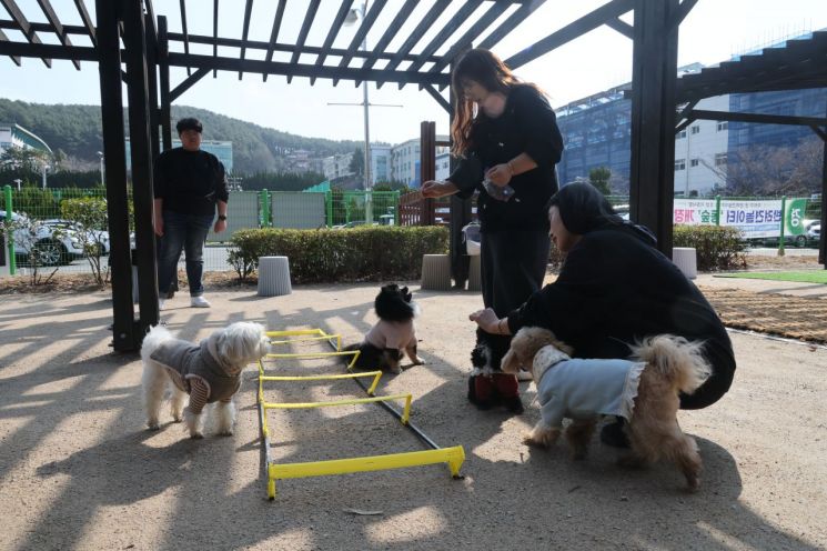반려동물대학 학생들이 캠퍼스에서 반려동물들에게 학습시키고 있다.