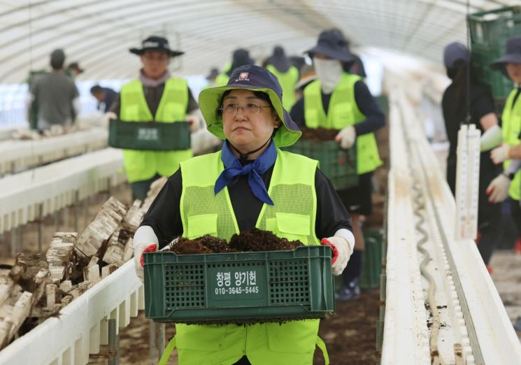김선민 조국혁신당 대표 권한대행이 지난 24일 오전 전남 담양군 봉산면 하우스 농장에서 수해복구 활동을 하고 있다. 연합뉴스