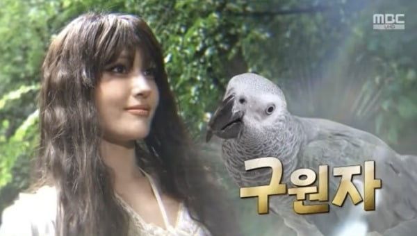 최근 신곡 '엑스트라'를 발매한 가수 전소미가 MBC '신비한TV 서프라이즈'에서 '엑스트라'로 출연했다. MBC '신비한TV 서프라이즈' 캡처