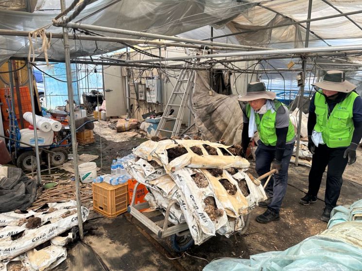 광주교통공사와 농협광주본부 임직원들은 지난 25일 광주 광산구 용곡동 일대 수해복구 현장을 찾아 환경정비 등 봉사 활동을 실시했다. 광주교통공사 제공
