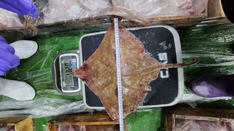 전남도, 총허용어획량 세부시행 계획 착수 