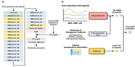수술 후 급성신손상(PO-AKI) 예측 모델의 전체 구조. 본 연구에서 개발한 수술 후 급성신손상(PO-AKI) 예측 모델의 전체 구조를 나타냈다. (a)는 수술 중 실시간으로 수집된 생체신호 데이터를 분석하기 위해 설계된 딥러닝 알고리즘의 내부 구조를 보여주며, (b)는 본 연구의 전체 설계 흐름도이다.