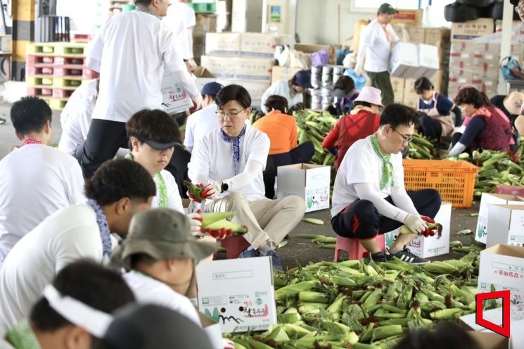현대글로비스 임직원들이 지난 24일 홍천군 자은2리에서 수확한 옥수수를 손질·포장하고 있다. 현대글로비스