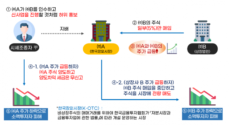 국세청이 세무조사에 착수한 '무늬만 신사업' 사례의 주요 혐의 내용.