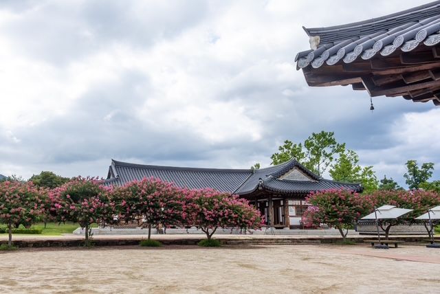 Enjoy a Summer Garden in a Hanok: Suncheon City Launches 'Summer Masil' Program