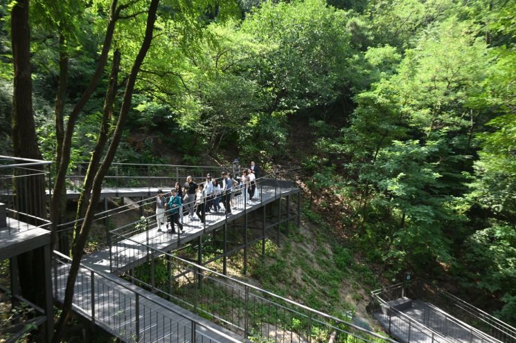 지난해 전면 개통한 남산자락숲길. 중구 제공.