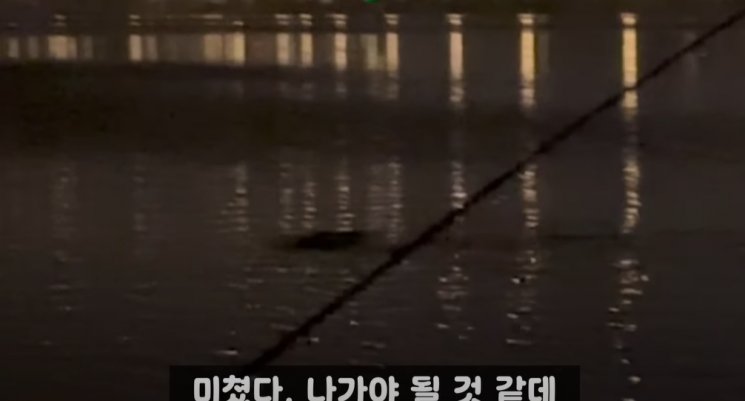 괴생명체 추정. 정담스토리 유튜브
