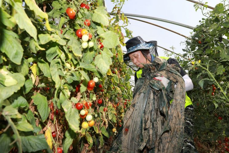 농식품부, '농정 대전환·농촌 균형성장·동물복지' 4대 국정과제 추진