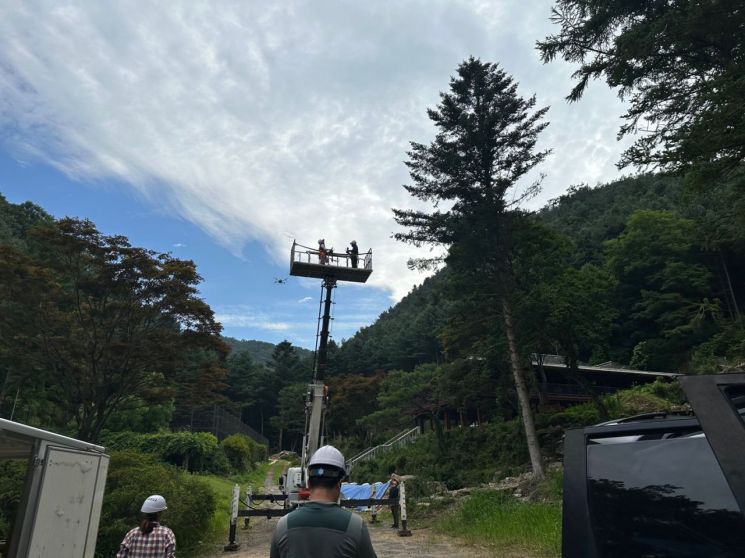 경기도, 소나무재선충병 확산 방지 헬기·드론·방제단 예찰 추진