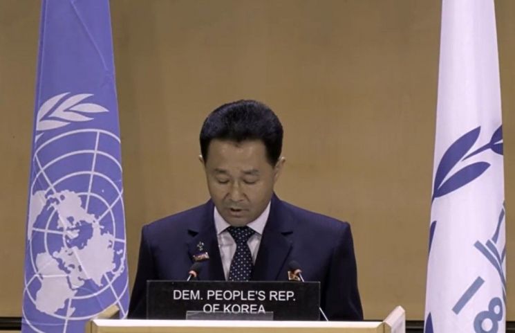 연설 중인 박인철 의장. 유엔 홈페이지 캡처