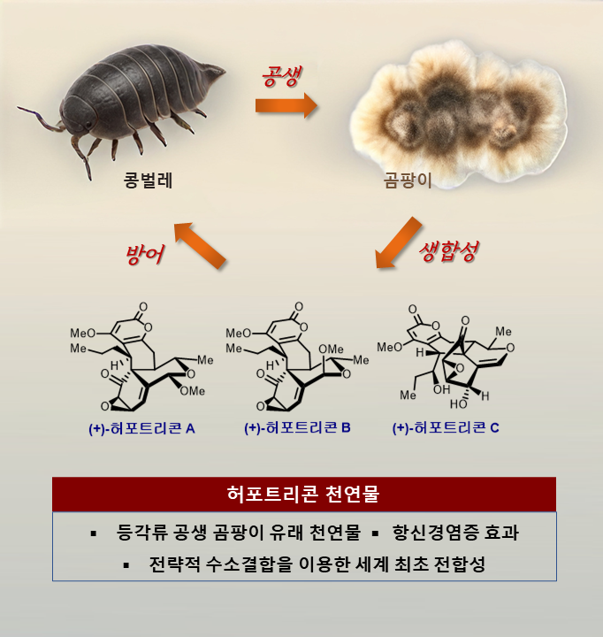 희귀 천연물 '화학합성' 성공…KAIST "파킨슨병 등 치료제 개발 기대"
