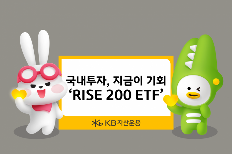 KB자산운용, RISE 200 ETF 추천…