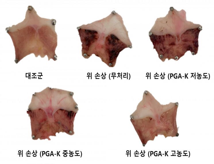 모아라이프플러스, PGA-K 위산 조절 및 알콜성 위 손상 억제 기능성 특허 출원