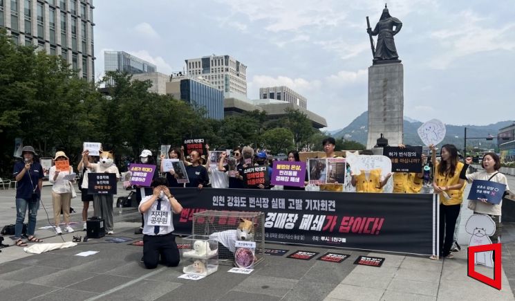 동물권 연합단체, 반려동물 경매장 금지 위한 '한국형 루시법' 요구