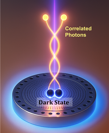 UNIST, 양자 얽힘 ‘어둠’에 가둬 수명 600배 늘렸다!