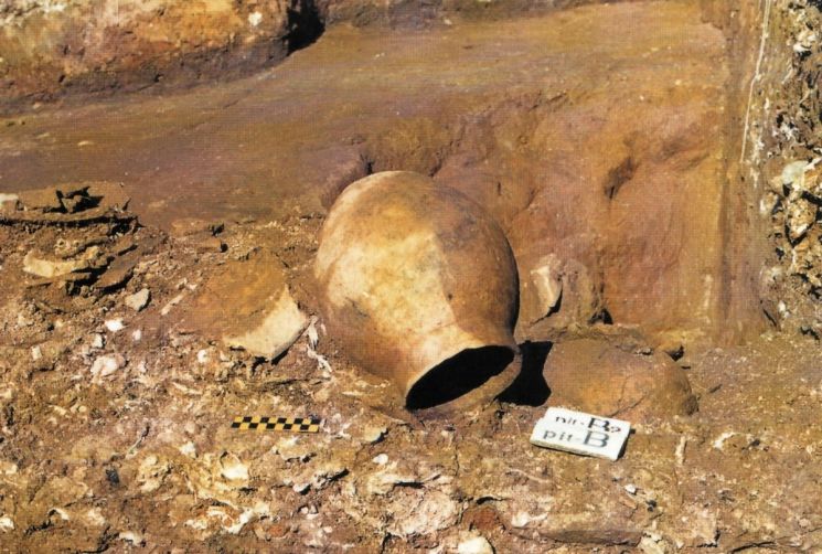 사적 '해남 군곡리 패총'에서 출토된 유물