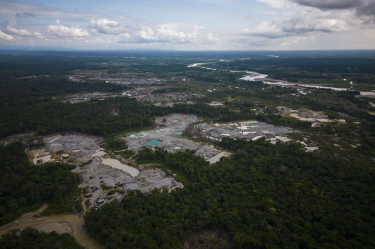 서울 2배크기 숲 사라진 콜롬비아…'아마존의 눈물'