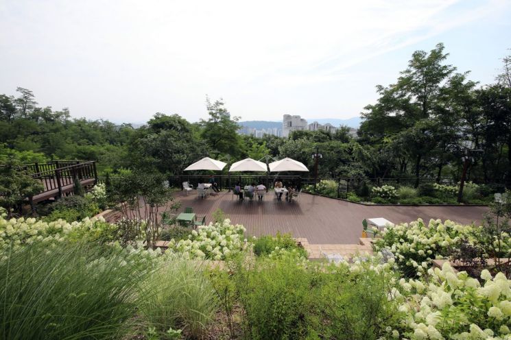 흐드러지게 핀 수국 절경으로 방문객이 감탄을 이어가고 있는 개운산 여름향기정원. 성북구 제공.