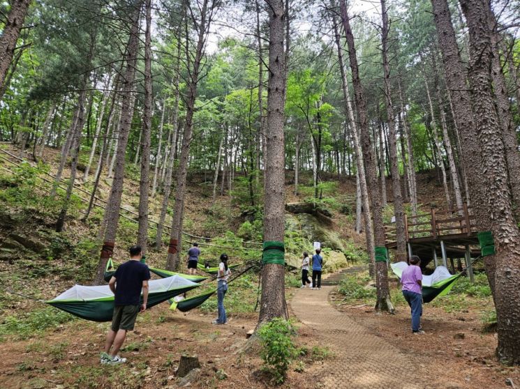 동두천치유의숲. 경기도 제공