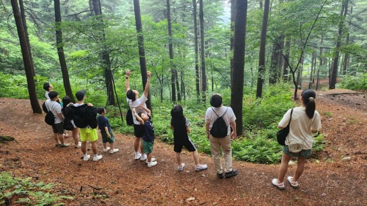 포천하늘아래치유의숲. 경기도 제공