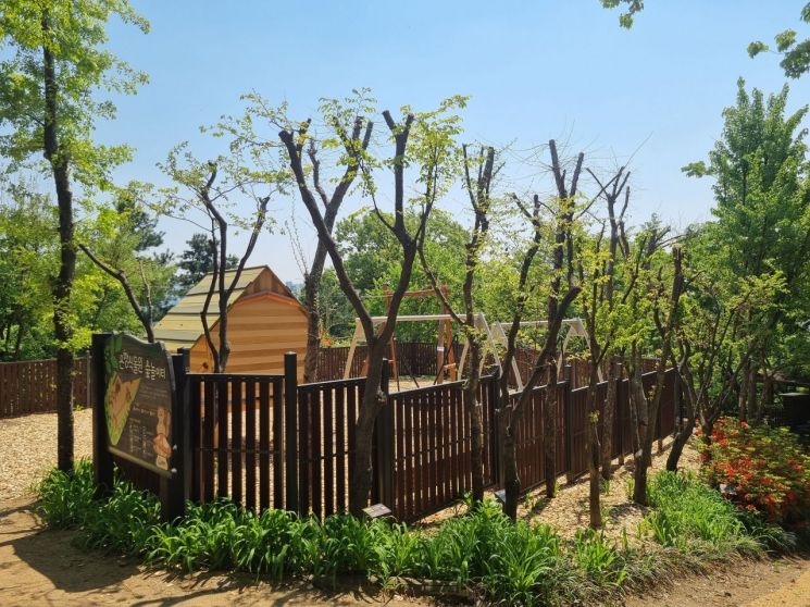 새로 조성된 성남시 식물원 숲놀이터 모습. 성남시 제공