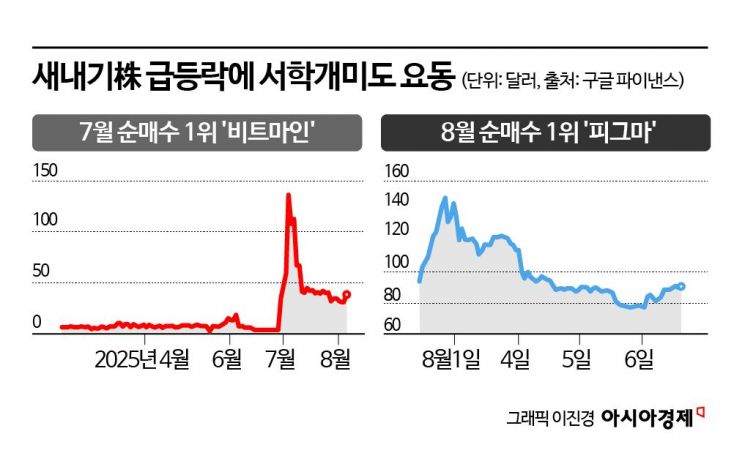 3900% 급등에 현혹돼 올라탔다가… 폭락 직격탄 맞은 서학개미