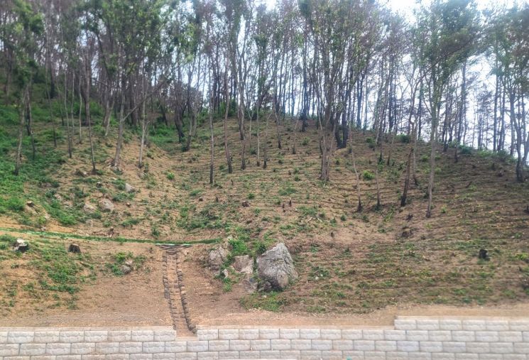 영덕군, 산불 상처 딛고 ‘푸른 숲’ 복구사업 본격 추진