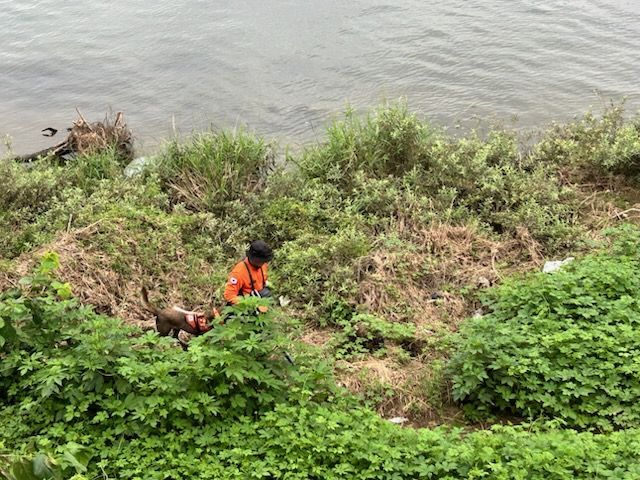 [속보]가평 폭우 수색 현장서 시신 1구 발견…"신원 확인 중"