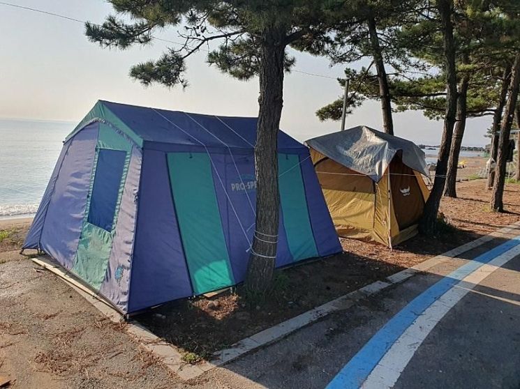한 해수욕장 도로 인근에 텐트가 설치돼 있는 모습. 온라인 커뮤니티 캡처